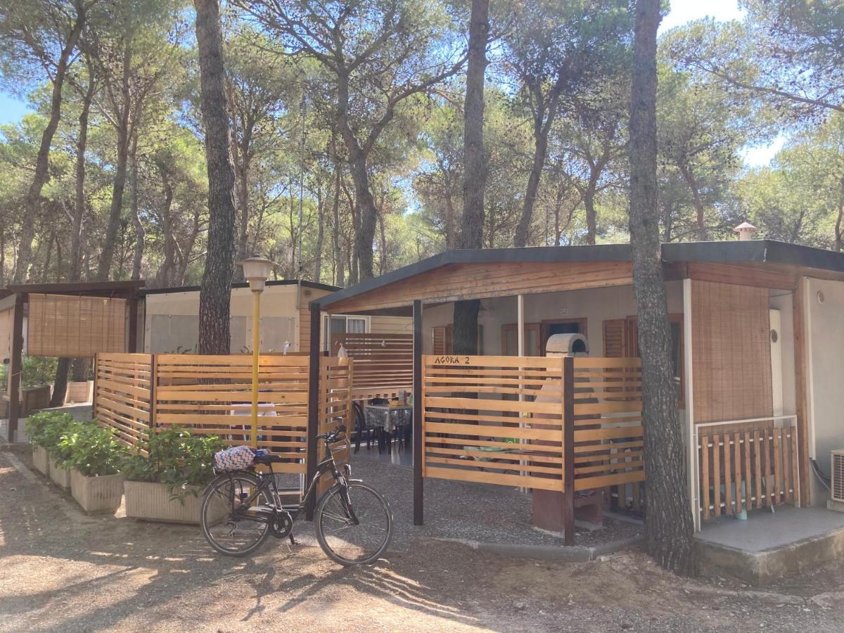 Riva Dei Greci Camping Village Metaponto Εξωτερικό φωτογραφία