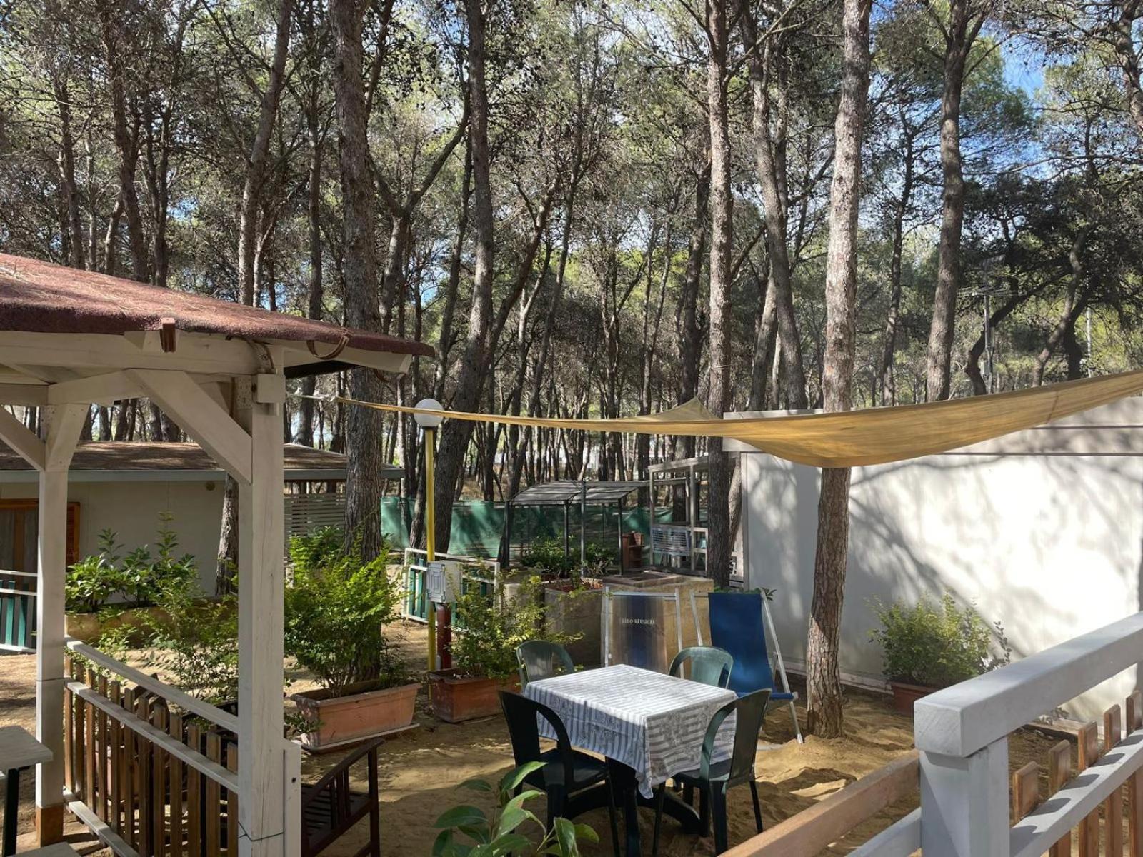 Riva Dei Greci Camping Village Metaponto Εξωτερικό φωτογραφία