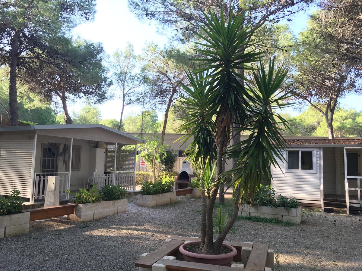 Riva Dei Greci Camping Village Metaponto Εξωτερικό φωτογραφία